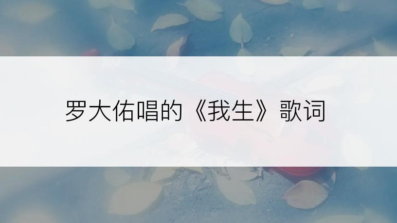 罗大佑唱的《我生》歌词