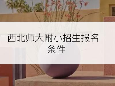 西北师大附小招生报名条件