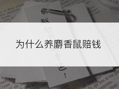 为什么养麝香鼠赔钱