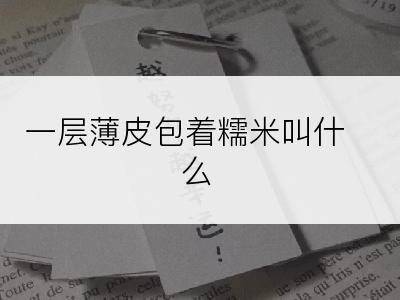 一层薄皮包着糯米叫什么
