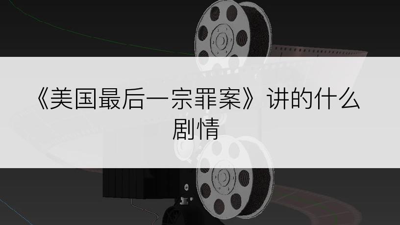 《美国最后一宗罪案》讲的什么剧情