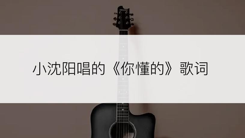 小沈阳唱的《你懂的》歌词