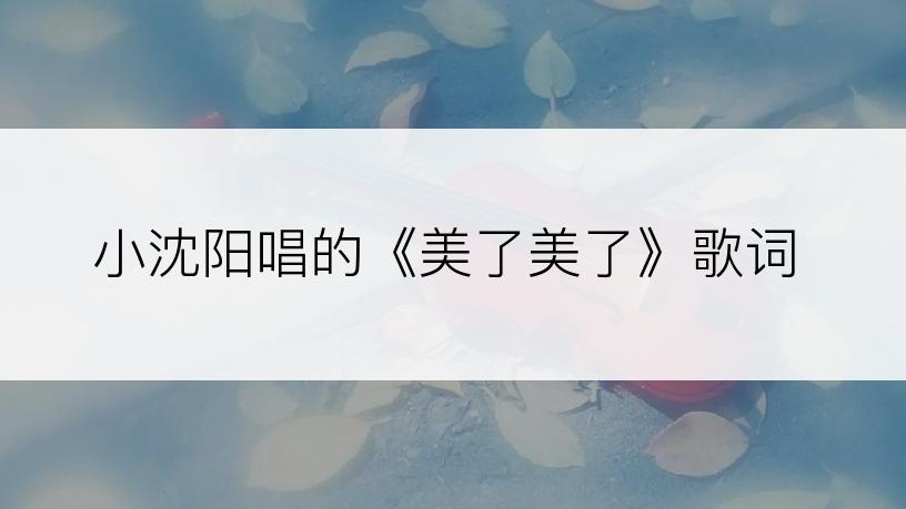 小沈阳唱的《美了美了》歌词