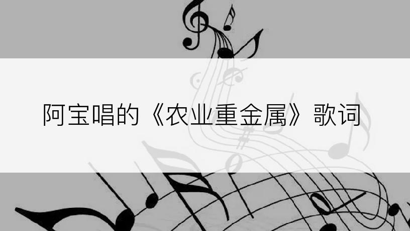 阿宝唱的《农业重金属》歌词