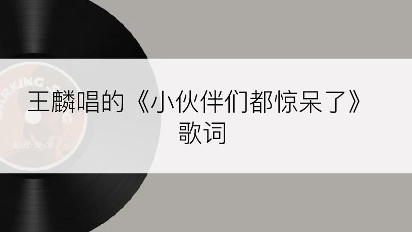王麟唱的《小伙伴们都惊呆了》歌词