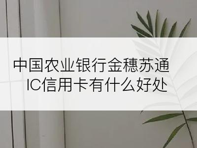 中国农业银行金穗苏通IC信用卡有什么好处