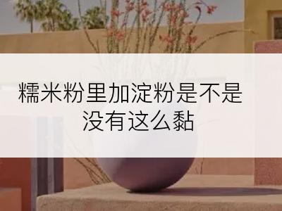 糯米粉里加淀粉是不是没有这么黏