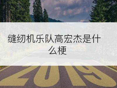 缝纫机乐队高宏杰是什么梗