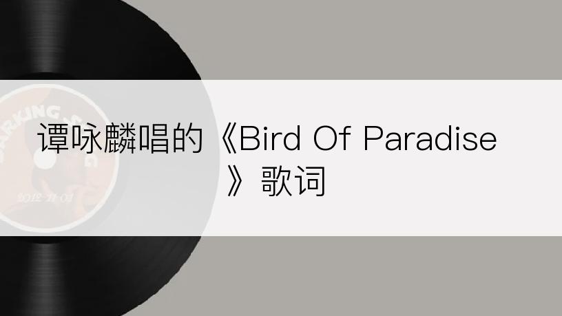 谭咏麟唱的《Bird Of Paradise》歌词