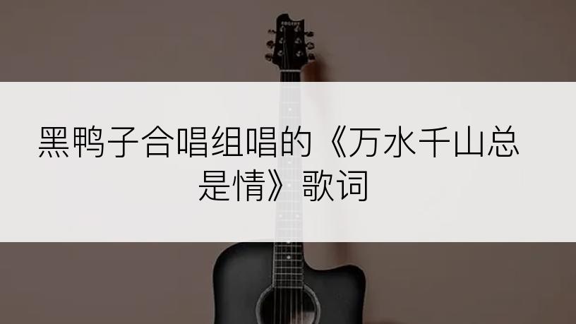 黑鸭子合唱组唱的《万水千山总是情》歌词