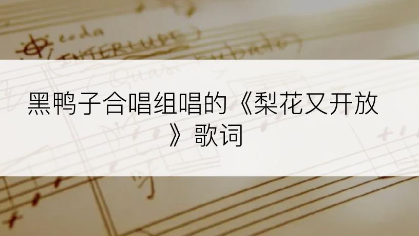 黑鸭子合唱组唱的《梨花又开放》歌词