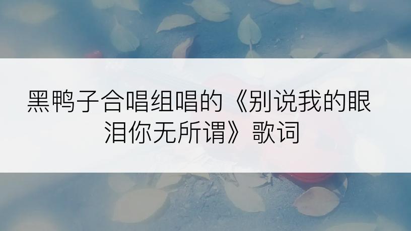 黑鸭子合唱组唱的《别说我的眼泪你无所谓》歌词