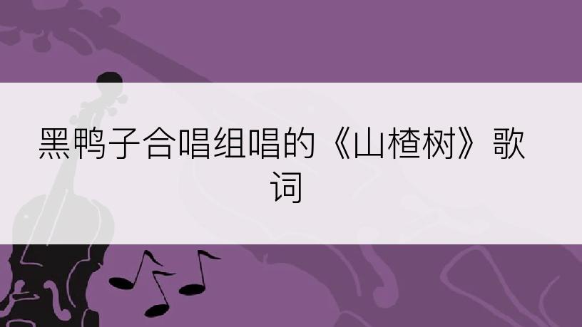 黑鸭子合唱组唱的《山楂树》歌词