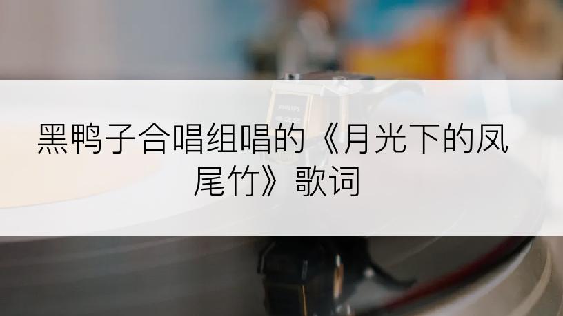 黑鸭子合唱组唱的《月光下的凤尾竹》歌词