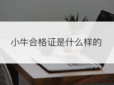小牛合格证是什么样的