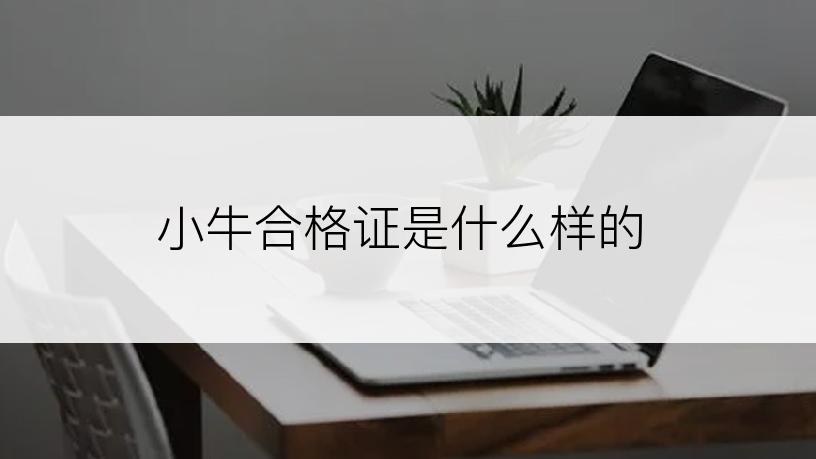 小牛合格证是什么样的