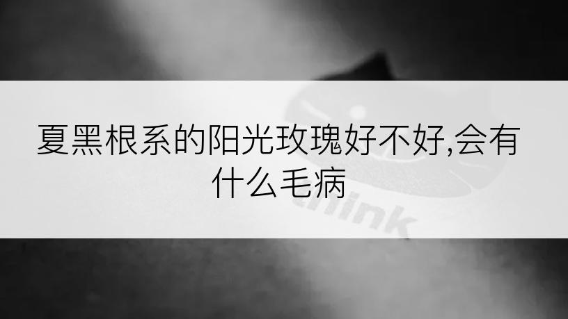 夏黑根系的阳光玫瑰好不好,会有什么毛病
