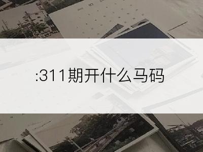 :311期开什么马码