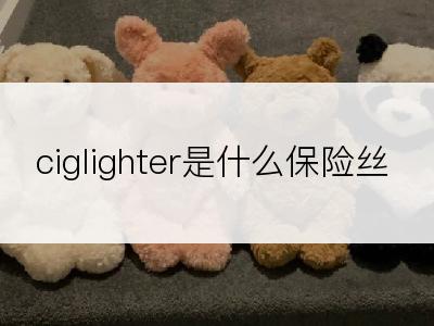ciglighter是什么保险丝