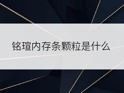 铭瑄内存条颗粒是什么