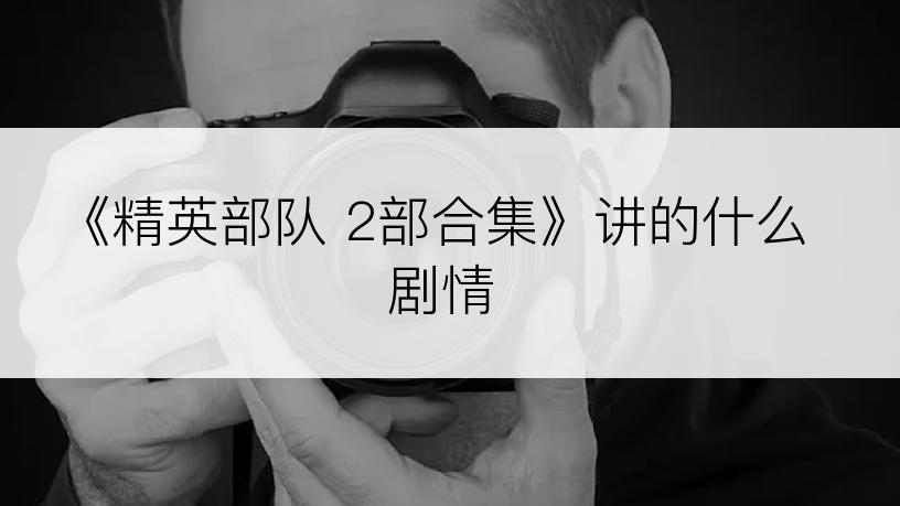 《精英部队 2部合集》讲的什么剧情