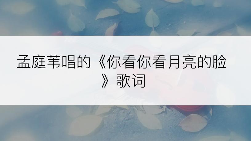 孟庭苇唱的《你看你看月亮的脸》歌词
