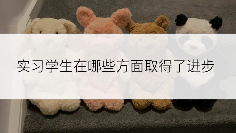 实习学生在哪些方面取得了进步