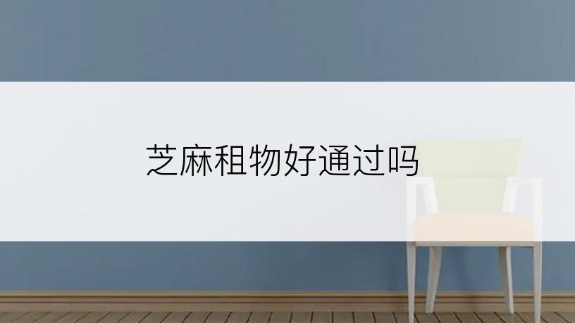 芝麻租物好通过吗