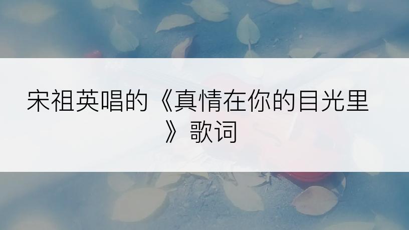 宋祖英唱的《真情在你的目光里》歌词