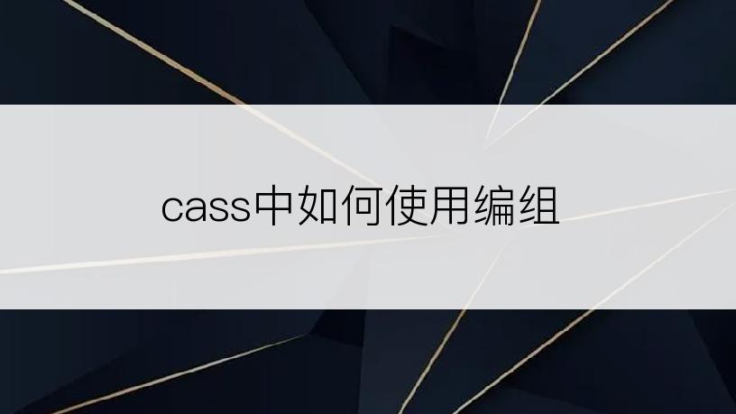 cass中如何使用编组