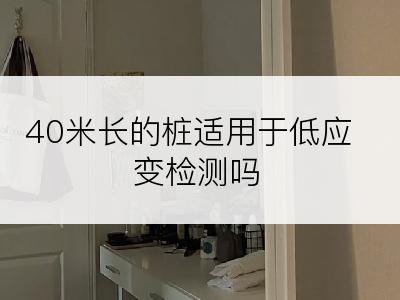 40米长的桩适用于低应变检测吗
