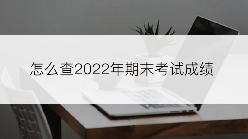 怎么查2022年期末考试成绩