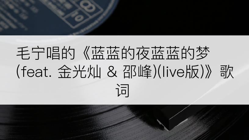 毛宁唱的《蓝蓝的夜蓝蓝的梦 (feat. 金光灿 & 邵峰)(live版)》歌词