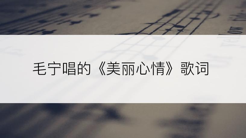 毛宁唱的《美丽心情》歌词