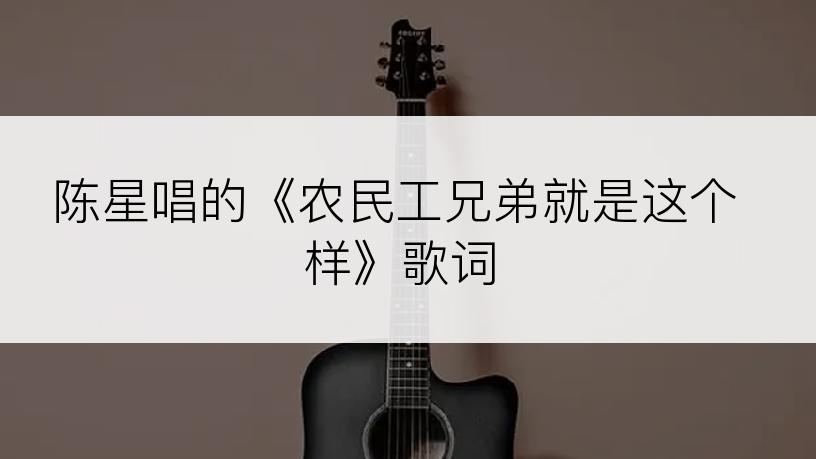 陈星唱的《农民工兄弟就是这个样》歌词