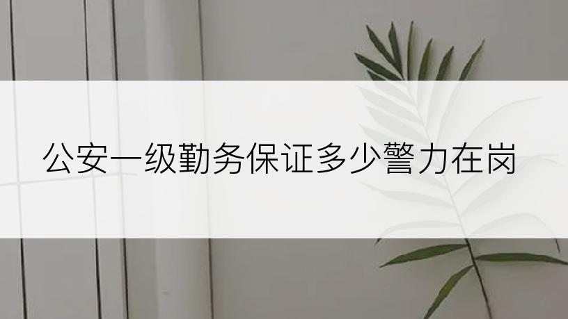 公安一级勤务保证多少警力在岗