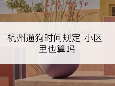 杭州遛狗时间规定 小区里也算吗