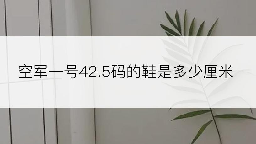 空军一号42.5码的鞋是多少厘米