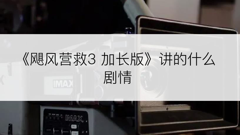 《飓风营救3 加长版》讲的什么剧情