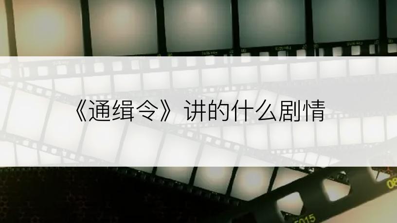 《通缉令》讲的什么剧情