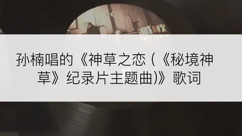 孙楠唱的《神草之恋 (《秘境神草》纪录片主题曲)》歌词