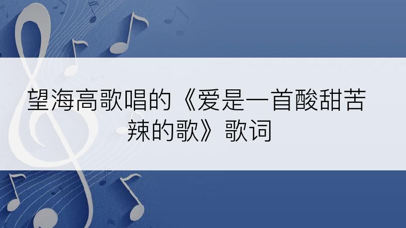 望海高歌唱的《爱是一首酸甜苦辣的歌》歌词