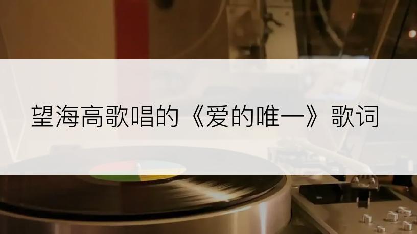 望海高歌唱的《爱的唯一》歌词