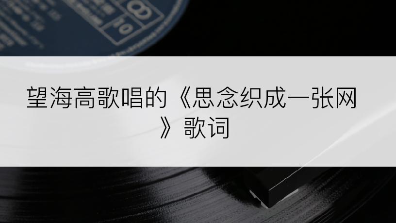 望海高歌唱的《思念织成一张网》歌词