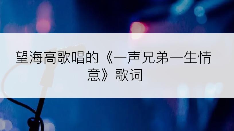 望海高歌唱的《一声兄弟一生情意》歌词