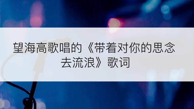 望海高歌唱的《带着对你的思念去流浪》歌词