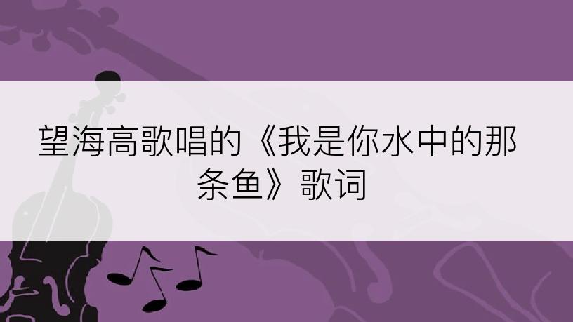 望海高歌唱的《我是你水中的那条鱼》歌词