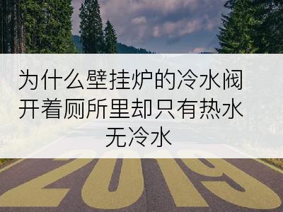 为什么壁挂炉的冷水阀开着厕所里却只有热水无冷水