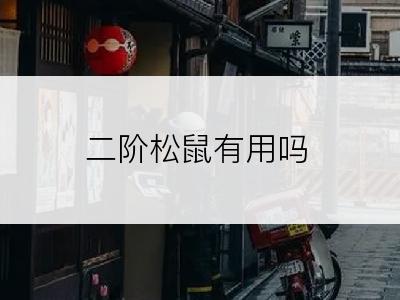 二阶松鼠有用吗
