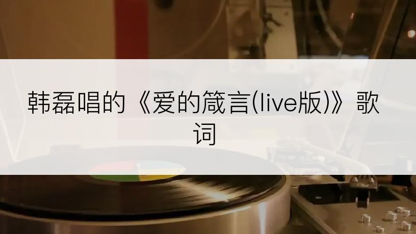 韩磊唱的《爱的箴言(live版)》歌词